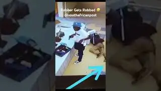 Robber gets robbed 🤣 South Africa is a movie #funnyvideo #funnysouthafrica #gang #hijacking