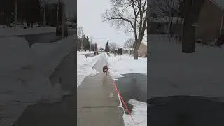 Rare promenade de l'apr&egrave;s-midi et rencontre int&eacute;ressante pour le chef des flics 🙄