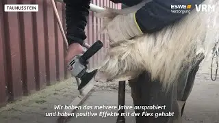 Frankfurter Schmied arbeitet mit Flex statt Raspel