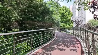 #chinatravel  20240526 黄兴公园 Huangxing park external loop 4K sightseeing  road running routine