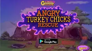 Angry Turkey Chicks Rescue Games4Escape Walkthrough