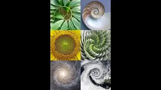 7th Asynchronous Lesson 12-6-23
