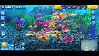 Fish tycoon 2 money glitch