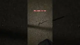 #worms edit: my friend stepped on him..R.I.P LEO.