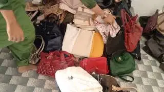 American purse clntact number 03301384695