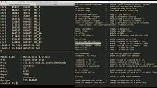 Remote RSYNC, Reading Files