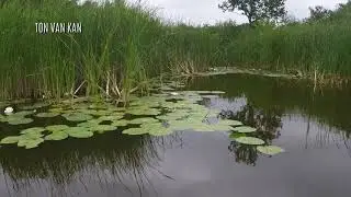BOTSHOL VAREN NATUURMONUMENTEN