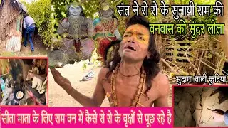 सीता माता के लिए राम वन में कैसे रो रो के वृक्षों से पूछ रहे है ||Vk Baba vlogs 