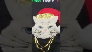 Mad Cat with a Santa Hat - 
