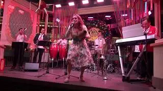 DCA  Adelaide Tropical　アデレイド・トロピカル