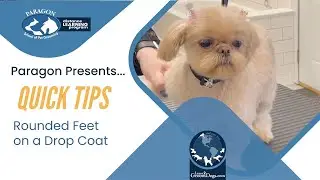 Quick Tips: Rounded Feet on a Drop Coat