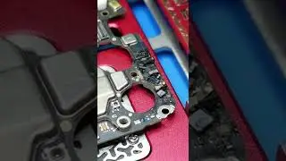 Phone Damaged By Microwave