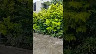 banglows and garden works #bangla #gardendesign #landscapegardening #landscape