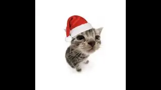 Edsu - Merry