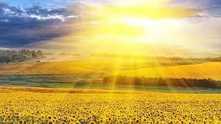 New Age Music: Spa Music; Relaxing Music; Reiki Music; Yoga Music; Relaxation Music;  🌅