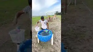 Unbelievable Village Challenge! Boys Compete Like Never Before | Hunger Game Full Episode