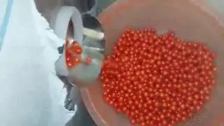 paint ball making machine, soft capsule making machine, paintball filler,