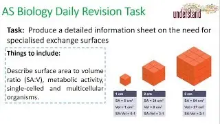AS Biology Daily Revision Task 61:  Specialised Exchange Surfaces