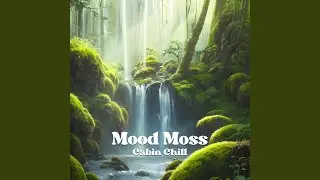 Mood Moss