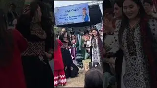 Girls dance on Hazara Culture day Celebration #pashto #dance #love #pashtosong #hazara #shorts #fyp