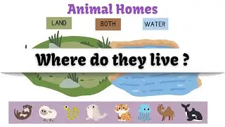 Where Do Animals Live? 🐾 | Fun Animal Homes Sorting Activity for Kids
