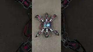 #Spider #robot