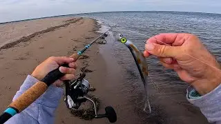 I Found The Fish Stacked | Traveling 1800 Miles To Fish Here Episode 2!!!