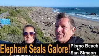 Motorhome RV Living | Morro Bay & Elephant Seals of San Simeon