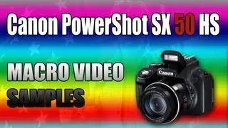 Canon PowerShot SX50 HS - Macro Video Samples