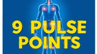 Fulse site on human body || what are pulse sites || pulse points