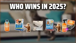 The Top 5 Best Cat Furniture Repellent in 2025 - Must Watch Before Buying!