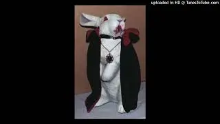 emo x jerk x lil tracy type beat - vamp bunny