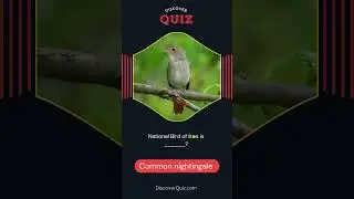 National Bird of Iran #quiztime #birds #birdslover #wildlife #motivation #animals #quiz #nature