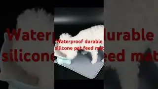 Silicone Dog Mat Wholesale | Waterproof, Non-Slip & OEM-Ready for Pet Brands