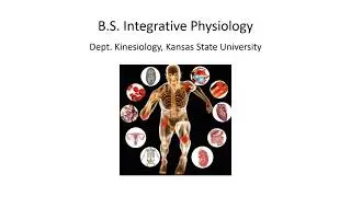 BS Integrative Physiology
