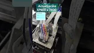 Actualizaci&oacute;n XP600 a i1600 #plotters #epson #xp600 #i3200 #dx7 #i1600