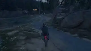Days Gone live