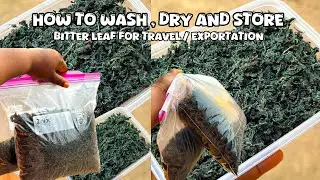 HOW TO WASH, DRY AND STORE BITTER LEAF FOR TRAVEL/EXPORTATION | 1 YEAR PLUS GUARANTEE !