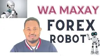Waa maxay Forex robot