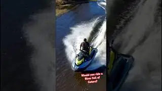 Would you ride on a river or creek full of gators? #seadoo #gators #skydio2
