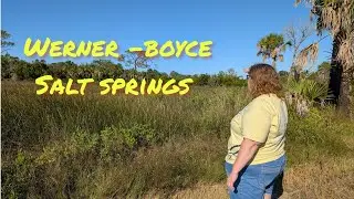 fall into the Werner-Boyce salt springs