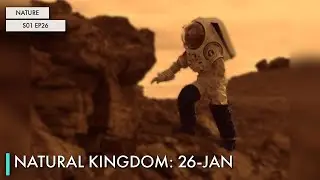 Natural Kingdom: 26-Jan