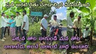 అరటి పంట బాగాలేదు అని దిగులు పడుతున్నారా ఐతే ఈ వీడియో చూడండి #pulivendulahari #Supergro #Supremechem