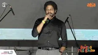 Producer Anil Pallala Speech |  Maa Vintha Gaadha Vinuma Pre Release Event | Shreyas Media