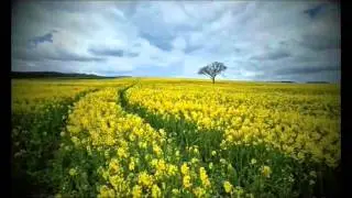 Genesis - One for the vine - Subtitulada
