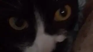 O obby imposs&iacute;vel de wall wholp eu n ganhei pq &eacute; realmente dificil