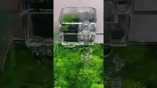 External filter for small acquarium cleaning the surface