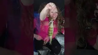 Walleye & Perch - Ice Fishing - Lake Nipissing