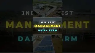 1000 Cows Fully Automized Dairy Farm | SAVANT Dairy Farm     #cow #solarenergy #business #dairyfarm
