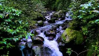Natural Focus Sounds with Mountain River Flowing Water, Soft White Noise
